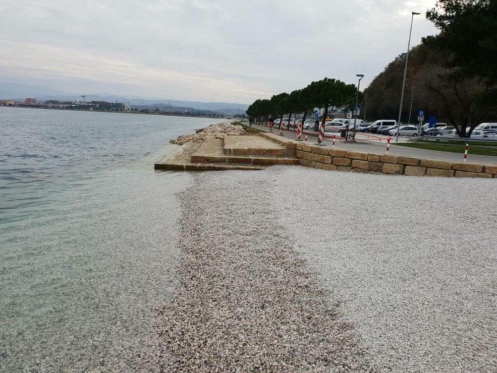 Sobe Al Moletto Apartment Koper Exterior foto